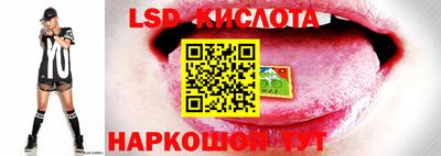 spice Обь