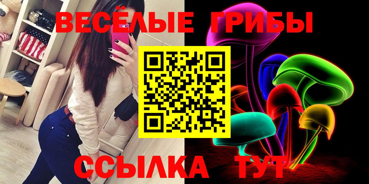 Сергиев Посад  Галлюциногенные грибы Cubensis  Вход с VPN 