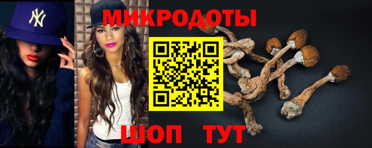 Галлюциногенные грибы Cubensis Сергиев Посад